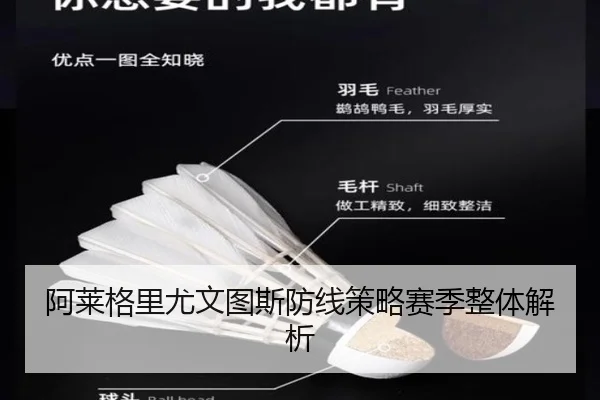 阿莱格里尤文图斯防线策略赛季整体解析